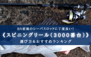 【2024年】シーバスリール（3000番）のおすすめランキング20選【コスパ最強！】