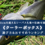 【2024年】シーバス釣り クーラーボックス おすすめ10選&選び方まとめ【コスパ最強!】
