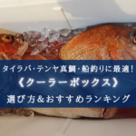 【2024年】真鯛釣り特化!クーラーボックス おすすめ15選【サイズ選びについても分かる!】