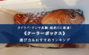 【2024年】真鯛釣り特化！クーラーボックス おすすめ15選【サイズ選びについても分かる！】
