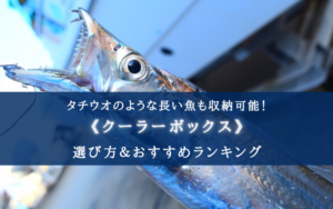 【2024年】タチウオ特化のクーラーボックス おすすめ14選【サイズ選びについても分かる!】