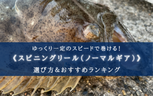 【2024年】スピニングリール(ノーマルギア) おすすめ17選【初心者~中級者向け!】