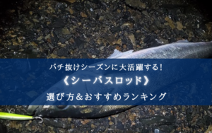 【2024年】バチ抜け特化！シーバスロッド おすすめランキング17選【選び方かんたん！】