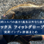 【ちょっとキツイ!】プロックス フィットグローブDXの実釣インプレ評価まとめ【この性能!?】