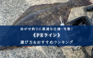 【2025年】泳がせ釣りのPEラインおすすめ18選＆太さ(号数)の選び方まとめ