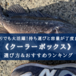 【2025年】磯釣りのクーラーボックス おすすめ10選&選び方まとめ【コスパ最強!】