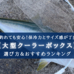 【2025年】青物特化の大型クーラーボックス おすすめ17選【サイズ選びについても分かる!】