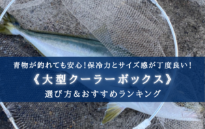 【2025年】青物特化の大型クーラーボックス おすすめ17選【サイズ選びについても分かる!】