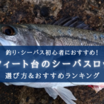 【2025年】８ft台のシーバスロッド おすすめランキング15選【安い＆汎用性の高いモデル！】