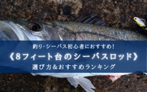 【2025年】８ft台のシーバスロッド おすすめランキング15選【安い＆汎用性の高いモデル！】