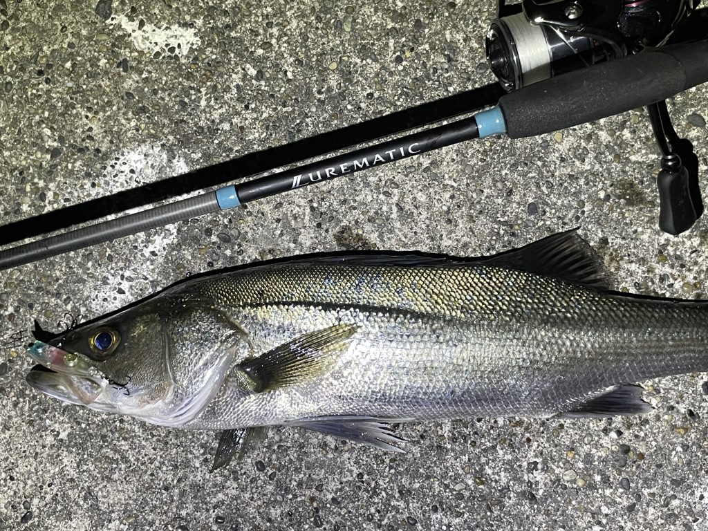 シマノ(SHIMANO) スピニングロッド 23 ルアーマチック バス S60L (バス推奨モデル) トラウト ブラックバス シマノ(SHIMANO) 23 ルアーマチックソルト S100MH