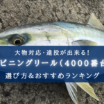 【2025年】コスパ最強!スピニングリール(4000番) おすすめ20選【初心者~中級者向け!】