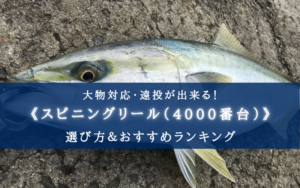 【2025年】コスパ最強！スピニングリール(4000番) おすすめ20選【初心者~中級者向け！】
