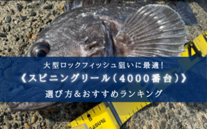 【2024年】ロックフィッシュリール(4000番) おすすめ17選【初心者~中級者向け！】