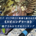 【2025年】カサゴ釣りのリール おすすめ15選【コスパ最強!安さ重視!】