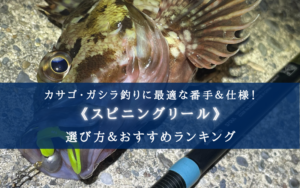 【2025年】カサゴ釣りのリール おすすめ15選【コスパ最強!安さ重視!】