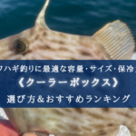 【2025年】カワハギ釣りのクーラーボックス おすすめ15選【サイズ・容量選び簡単!】