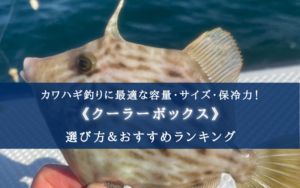 【2025年】カワハギ釣りのクーラーボックス おすすめ15選【サイズ・容量選び簡単！】