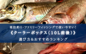 【2024年】10L前後の釣り用クーラーボックス おすすめ17選【小型で便利＆保冷力最強も！】