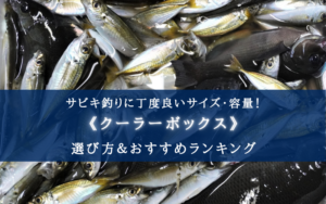 【2024年】サビキ釣りのクーラーボックス おすすめ15選【小型で便利＆アジなどに最適！】