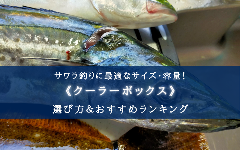 【2023年】サワラ・サゴシ釣り特化！クーラーボックス おすすめ17選【丁度良いサイズ・容量！】