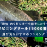 【2025年】コスパ最強！スピニングリール(3000番) おすすめ20選【初心者~中級者向け！】
