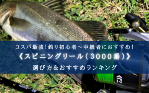 【2025年】コスパ最強！スピニングリール(3000番) おすすめ20選【初心者~中級者向け！】