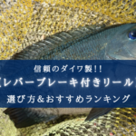 【2025年】ダイワのレバーブレーキ付きリール おすすめ9選&選び方まとめ【新作も!】