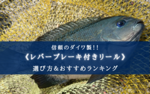 【2025年】ダイワのレバーブレーキ付きリール おすすめ9選&選び方まとめ【新作も!】