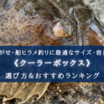 【2024年】ヒラメ釣り特化!クーラーボックス おすすめ15選【保冷力よりサイズ優先?!】