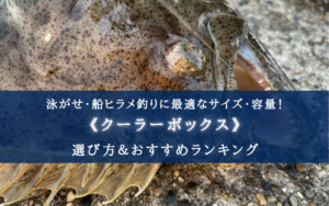 【2024年】ヒラメ釣り特化！クーラーボックス おすすめ15選【保冷力よりサイズ優先？！】