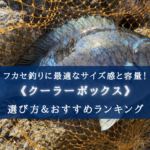 【2025年】フカセ釣りのクーラーボックス おすすめ15選&選び方まとめ【コスパ最強!】