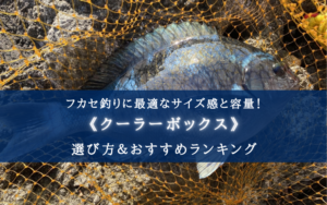 【2025年】フカセ釣りのクーラーボックス おすすめ15選&選び方まとめ【コスパ最強!】