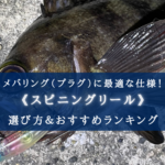【2025年】メバリング（プラグ特化）のスピニングリール おすすめ18選【コスパ最強！】