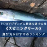 【2025年】コスパ最強！ライトショアジギング特化のリール おすすめ17選【初心者～中級者に！】