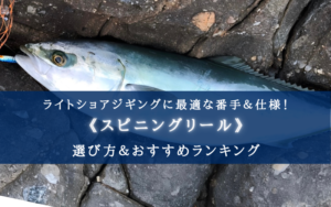 【2025年】コスパ最強！ライトショアジギング特化のリール おすすめ17選【初心者～中級者に！】