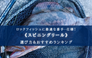 【2024年】ロックフィッシュに適したスピニングリール おすすめ20選【初心者から中級者に！】