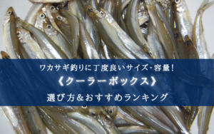 【2024年】ワカサギ釣りのクーラーボックス おすすめ12選【小型で便利＆コスパ抜群！】