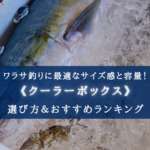 【2024年】ワラサ釣りのクーラーボックス おすすめ17選【船釣り必須!】