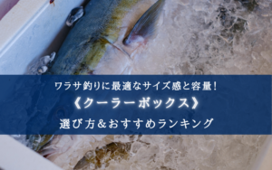 【2024年】ワラサ釣りのクーラーボックス おすすめ17選【船釣り必須!】
