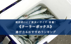 【2024年】堤防釣りのクーラーボックス おすすめ15選【丁度良いサイズ&保冷力最強も!】