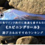 【2024年】太刀魚ワインド特化のリール おすすめ17選【番手・ギア比なども分かる!】