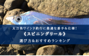 【2024年】太刀魚ワインド特化のリール おすすめ17選【番手・ギア比なども分かる!】