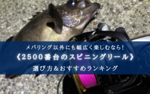 【2025年】メバリングリール(2500番台)おすすめ18選【コスパ最強!】