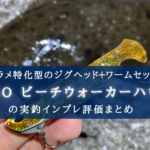 【ヒラメ特攻!】DUO ビーチウォーカーハウルの実釣インプレ評価【おすすめカラーも!】