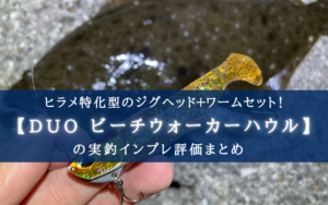 【ヒラメ特攻!】DUO ビーチウォーカーハウルの実釣インプレ評価【おすすめカラーも!】