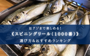 【2025年】アジングリール(1000番) おすすめランキング16選【コスパ最強！デメリットも解説！】