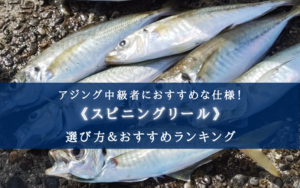 【2025年】アジングリール(中級者向け)おすすめ16選【コスパ最強!】