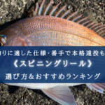 【2024年】カゴ釣りのスピニングリール おすすめ15選【最適な番手・コスパ最強も!】