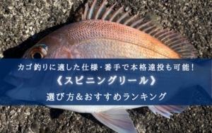【2024年】カゴ釣りのスピニングリール おすすめ15選【最適な番手・コスパ最強も!】